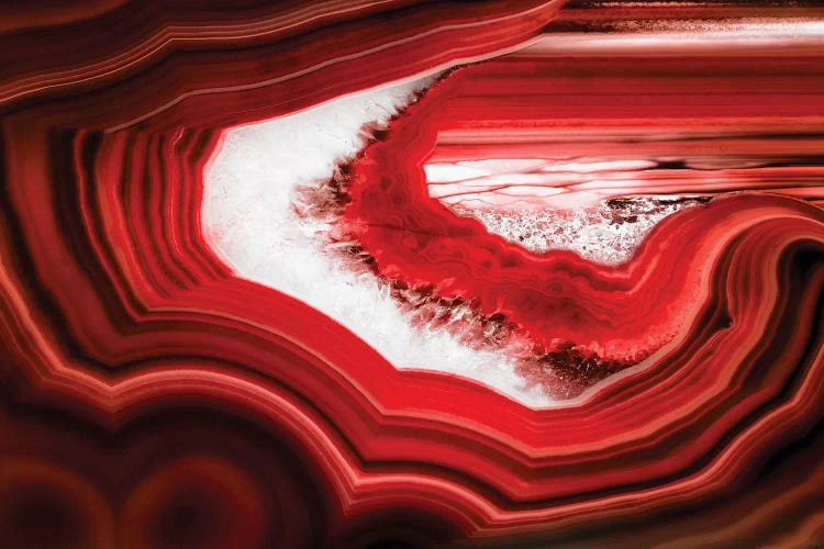 Slice Of Red Agate by Philippe Hugonnard wall art