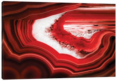 Slice Of Red Agate Canvas Art Print - Black, White & Red Art