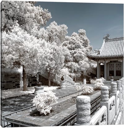 Another Look At China IV Canvas Art Print - Chinese Décor