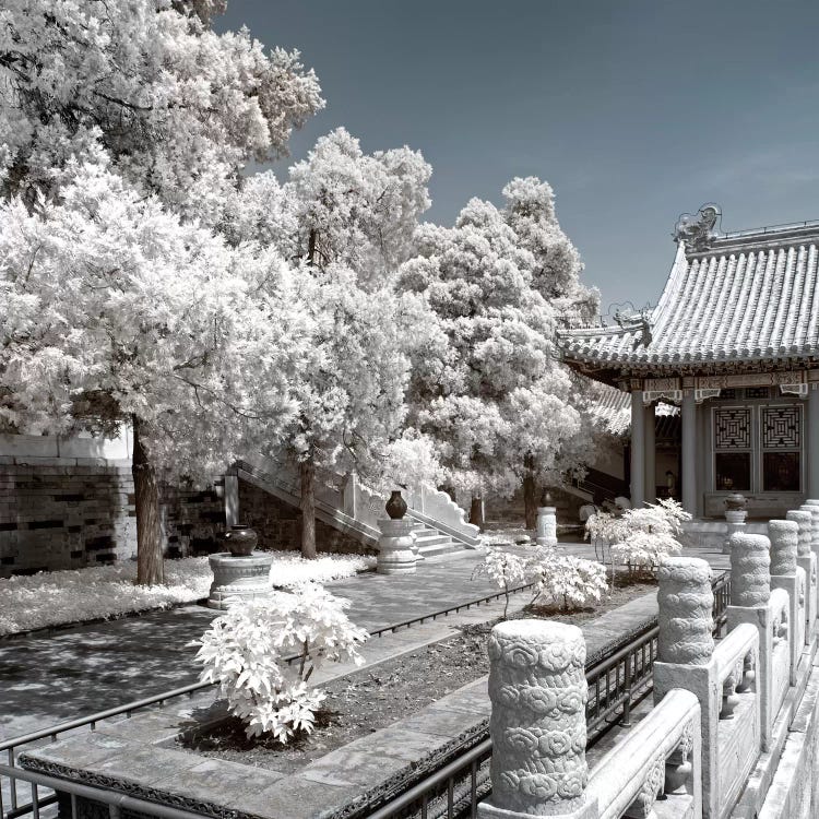 Another Look At China IV
