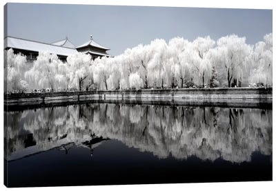 Another Look At China IX Canvas Art Print - Chinese Décor
