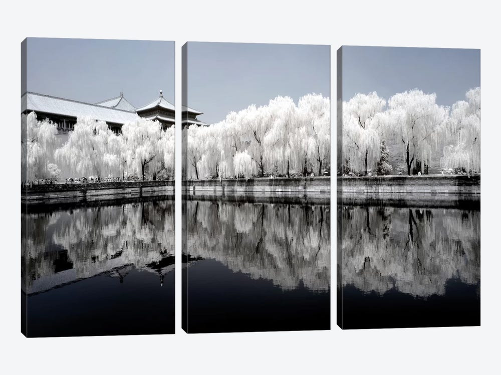 Another Look At China IX by Philippe Hugonnard 3-piece Art Print