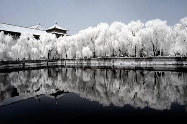 China: Another Look At China IX by Philippe Hugonnard