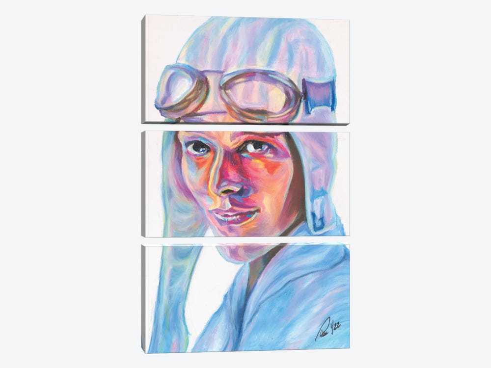 Amelia Earhart by Petra Hoette 3-piece Canvas Art