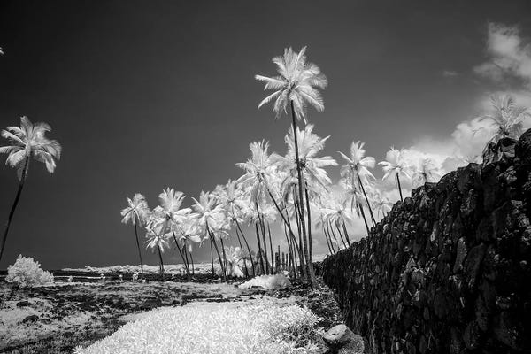 Hawaii: Pu'uhonua o Honaunau, The Big Island, Hawaii, Usa by Peter Hawkins