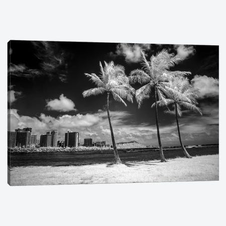 USA, Hawaii, Oahu, Honolulu, Palm trees on the beach. Canvas Print #PHK8} by Peter Hawkins Canvas Print