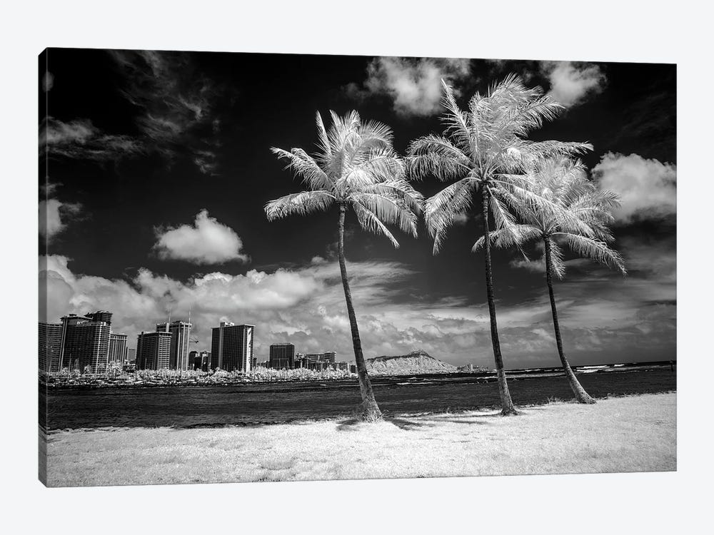 USA, Hawaii, Oahu, Honolulu, Palm trees on the beach. by Peter Hawkins 1-piece Canvas Art Print