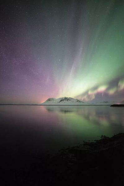 Aurora Borealis: Iceland Dreams by Philippe Manguin