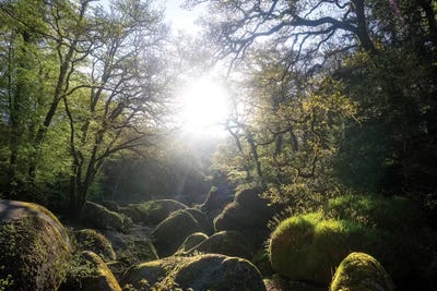Le Chaos De Huelgoat En Breatgne by Philippe Manguin multi panel art