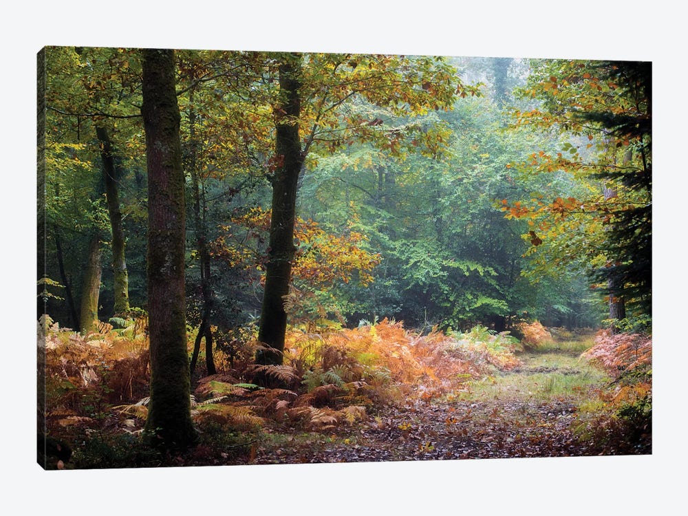 Automne Forest Leaves by Philippe Manguin 1-piece Canvas Wall Art