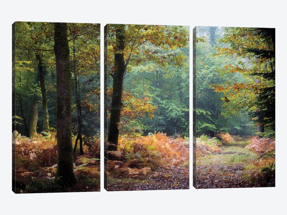 Automne Forest Leaves by Philippe Manguin 3-piece Canvas Art