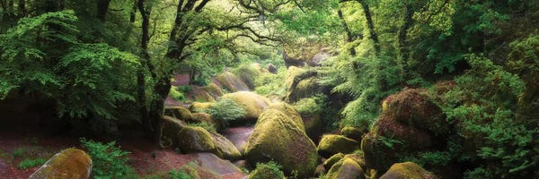 Brittany: Le Chaos De Huelgoat En Bretagne by Philippe Manguin