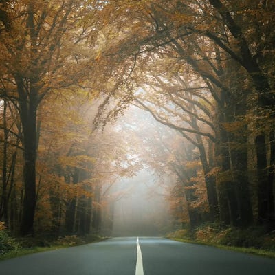 Le Passage by Philippe Manguin canvas print