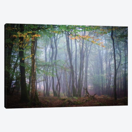 Autumn Foggy Forest Scene Canvas Print #PHM12} by Philippe Manguin Canvas Wall Art