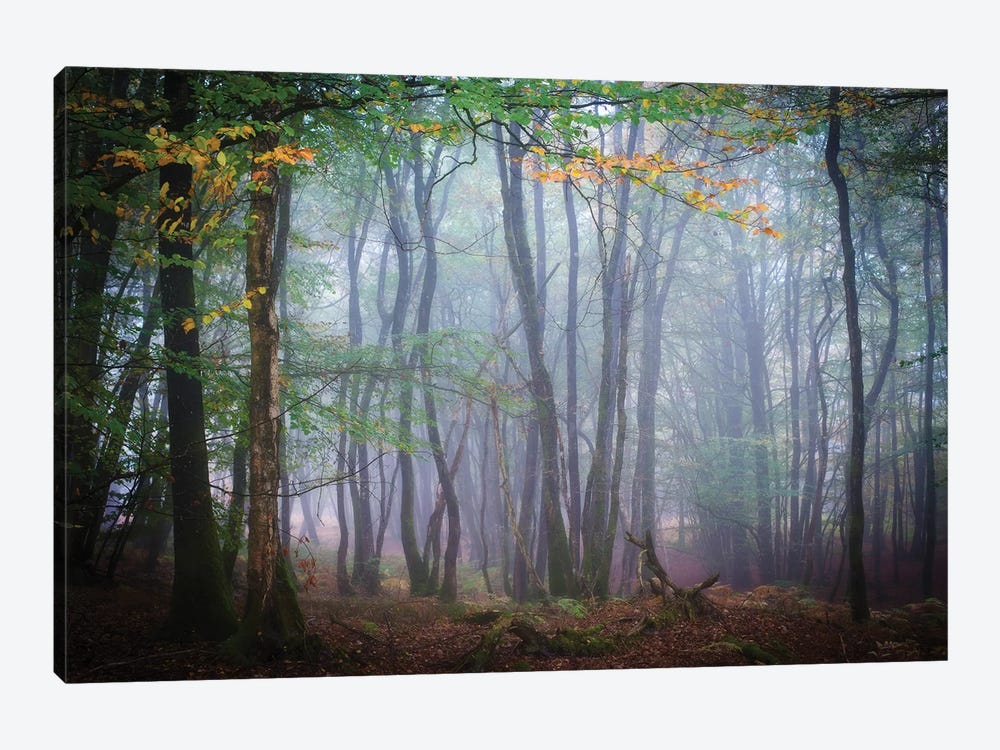 Autumn Foggy Forest Scene by Philippe Manguin 1-piece Art Print