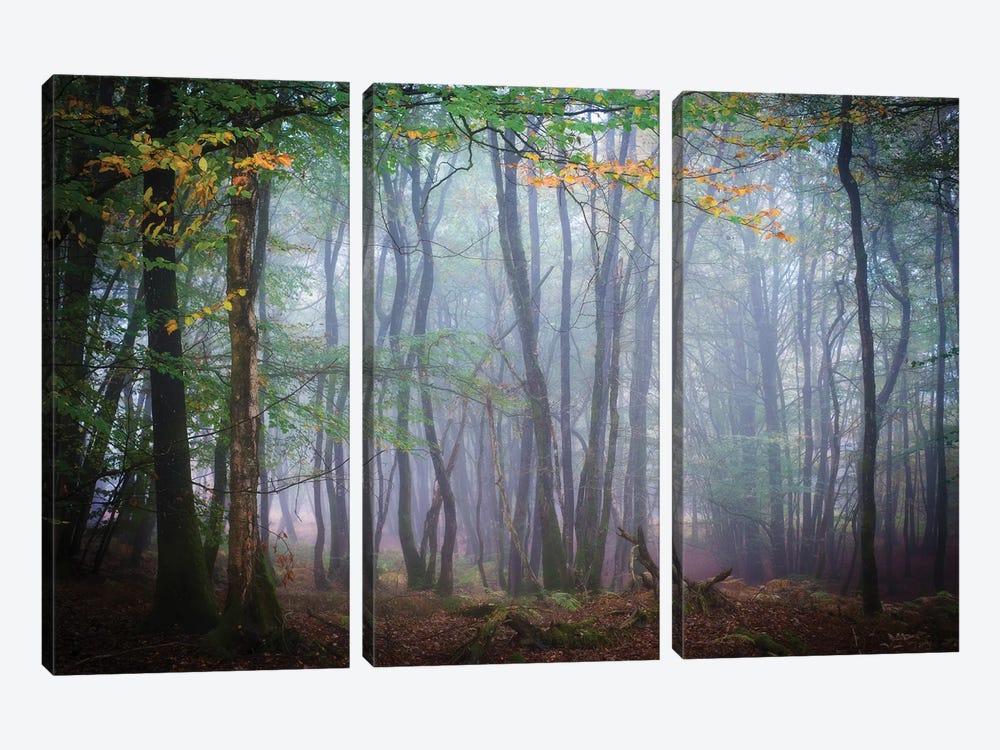 Autumn Foggy Forest Scene by Philippe Manguin 3-piece Canvas Art Print