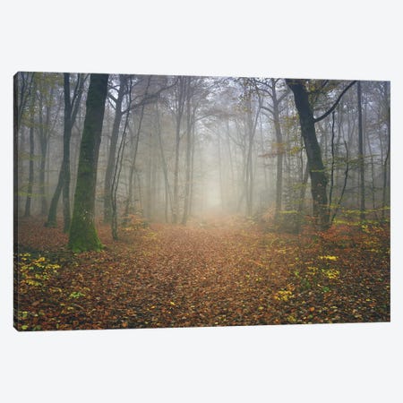 Autumn Forest Canvas Print #PHM13} by Philippe Manguin Canvas Wall Art