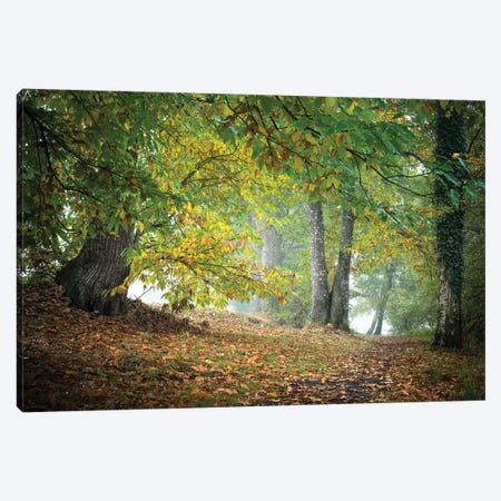 Morning Walk Canvas Print #PHM150} by Philippe Manguin Canvas Artwork