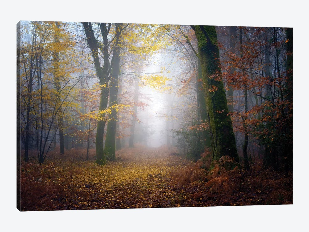 Autumn Walk In The Forest by Philippe Manguin 1-piece Canvas Wall Art