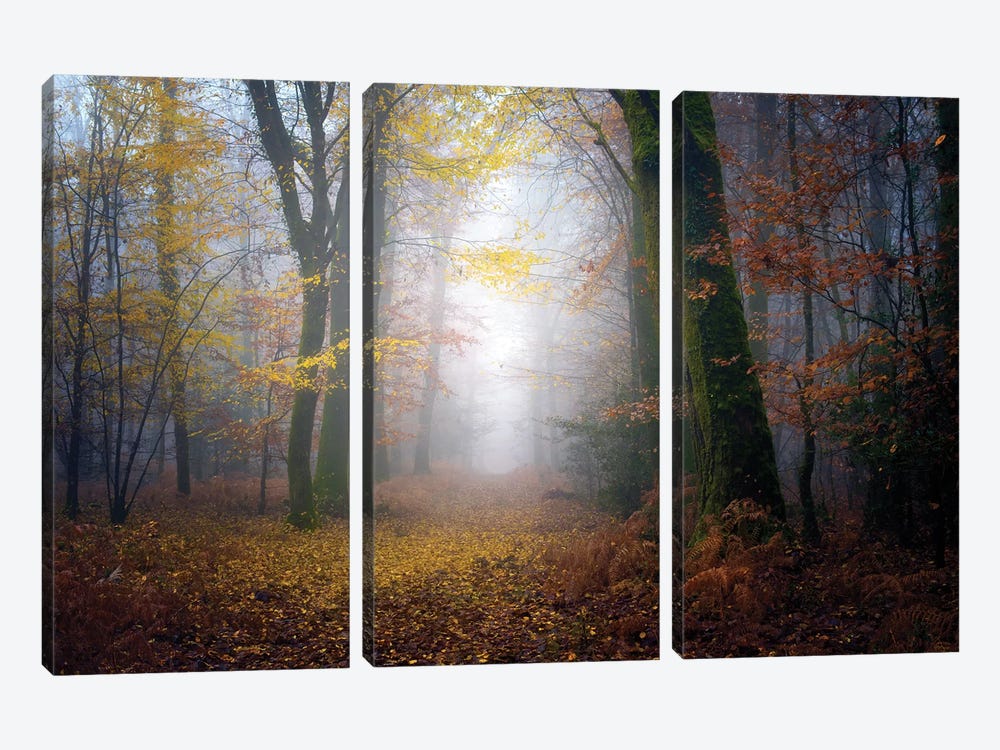 Autumn Walk In The Forest by Philippe Manguin 3-piece Canvas Wall Art