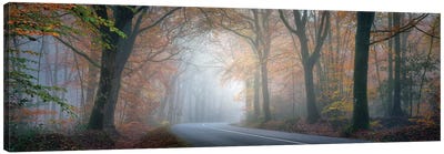 Panoramic Forest Canvas Art Print - France Art