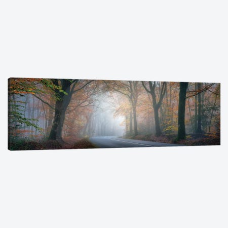 Panoramic Forest Canvas Print #PHM163} by Philippe Manguin Canvas Art Print