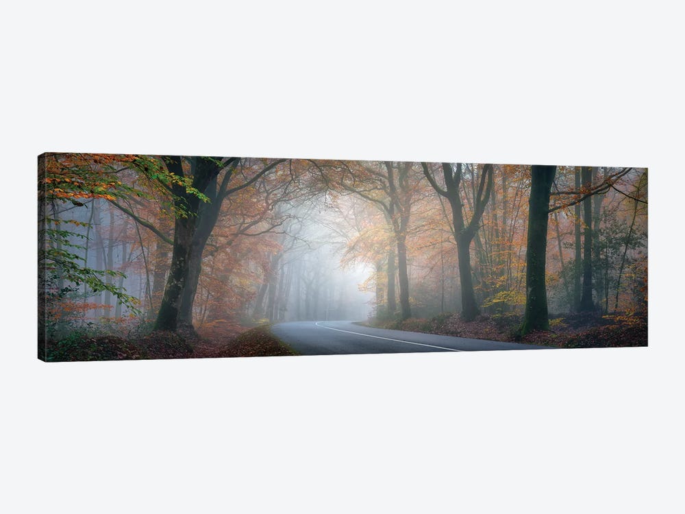 Panoramic Forest by Philippe Manguin 1-piece Canvas Print