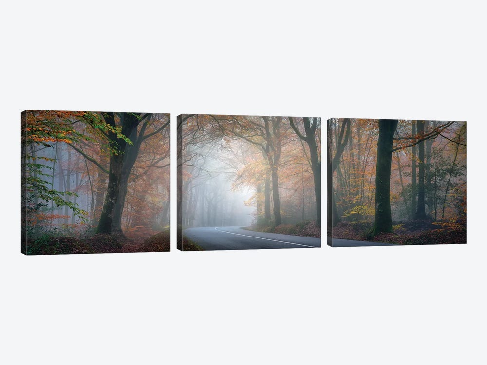 Panoramic Forest by Philippe Manguin 3-piece Canvas Art Print