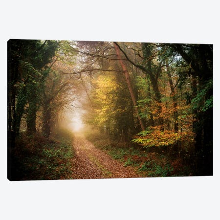Path In Autumn Forest Canvas Print #PHM180} by Philippe Manguin Art Print
