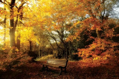 The Golden Break by Philippe Manguin multi panel art