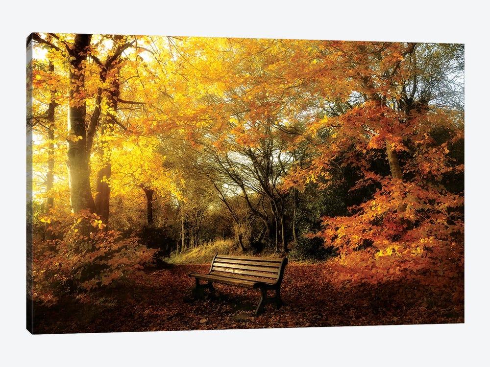 The Golden Break by Philippe Manguin 1-piece Canvas Wall Art