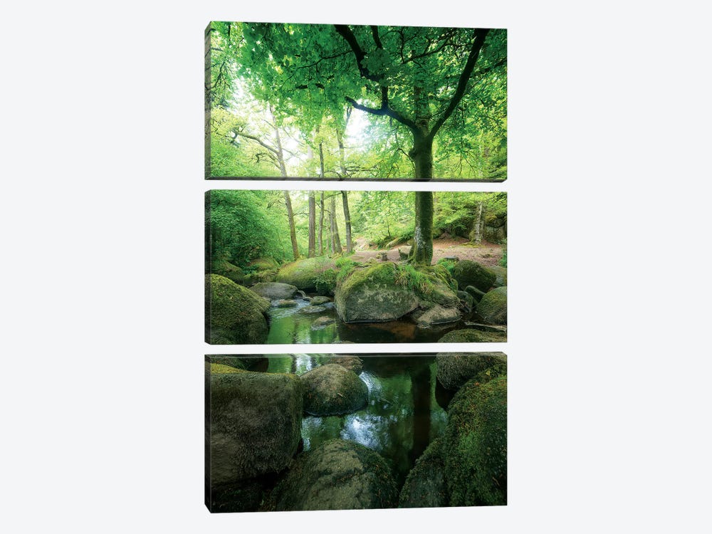 The Huelgoat Forest Bretagne by Philippe Manguin 3-piece Canvas Print