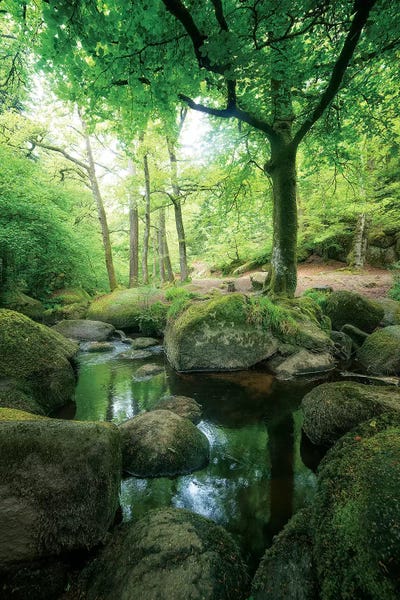 Brittany: The Huelgoat Forest Bretagne by Philippe Manguin