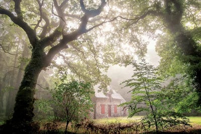 The Lonely House by Philippe Manguin canvas print