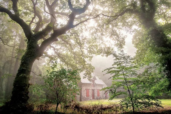 The Lonely House