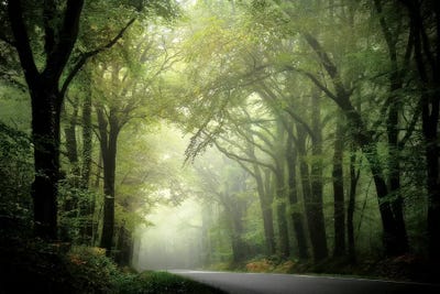 The Passage by Philippe Manguin canvas print