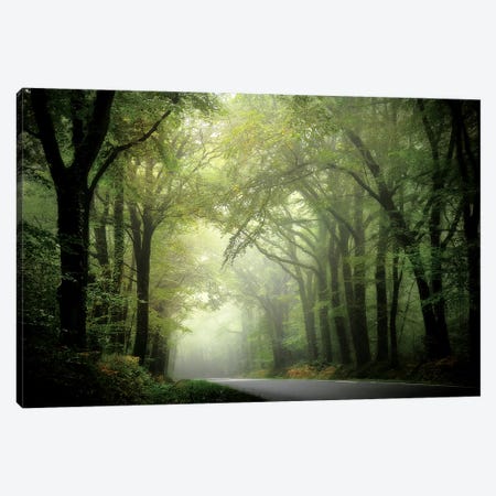 The Passage Canvas Print #PHM213} by Philippe Manguin Canvas Print