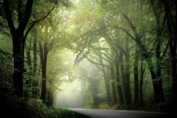 The Passage