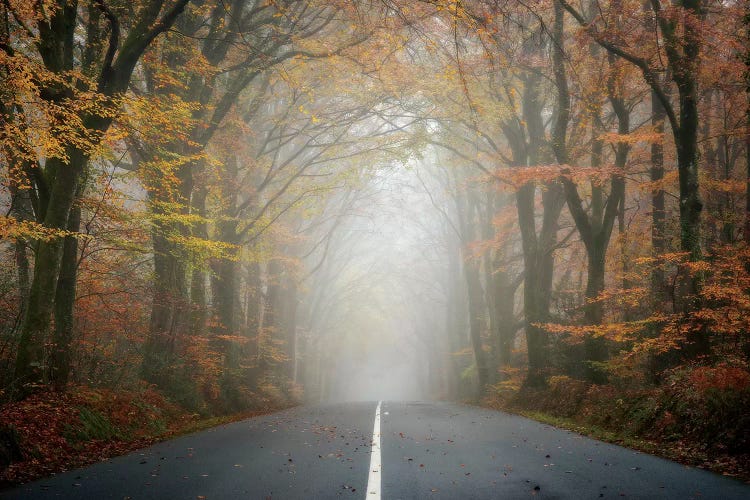 The Road