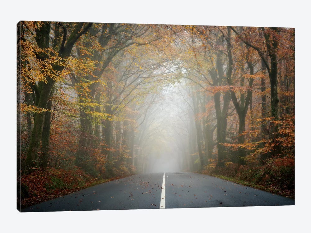 The Road by Philippe Manguin 1-piece Canvas Wall Art