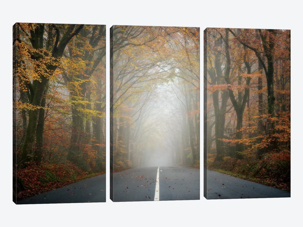 The Road by Philippe Manguin 3-piece Canvas Art