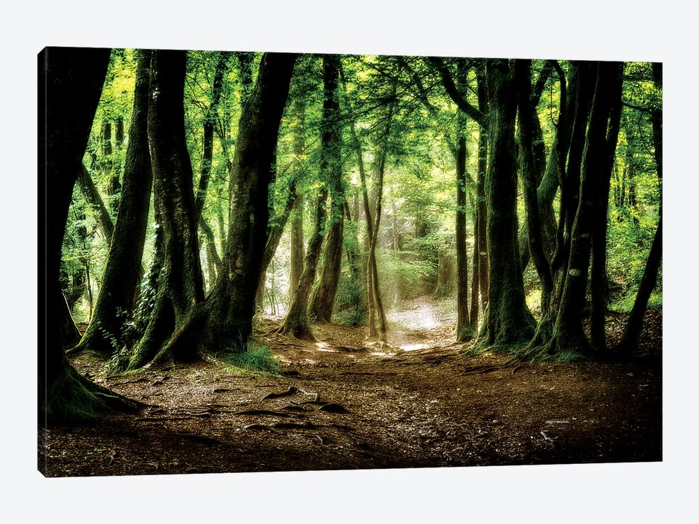 Val Sans Retour In Broceliande Forest by Philippe Manguin 1-piece Art Print