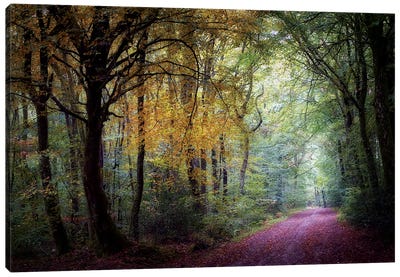 Welcome In The Forest Canvas Art Print - Philippe Manguin