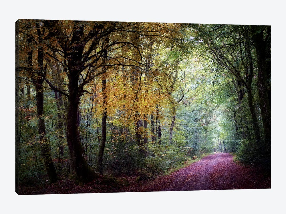 Welcome In The Forest by Philippe Manguin 1-piece Canvas Print