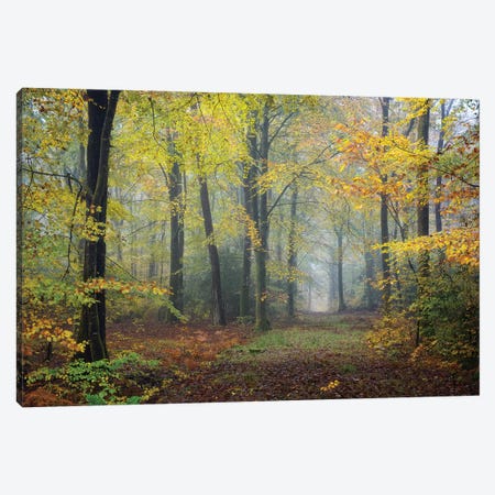 Broceliande Fall Canvas Print #PHM25} by Philippe Manguin Canvas Wall Art