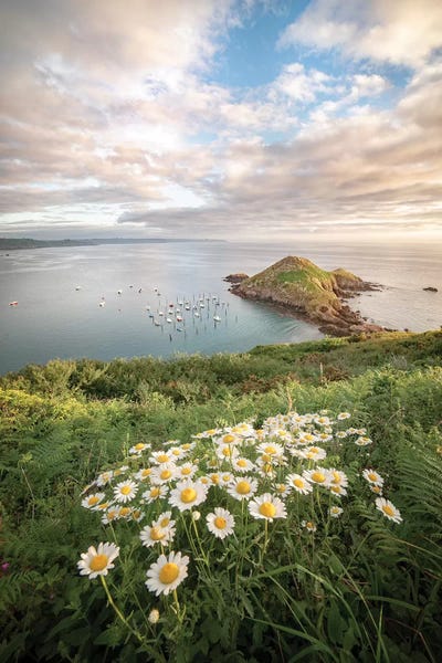 Brittany: Gwin Zegal Harbor In Brittany by Philippe Manguin