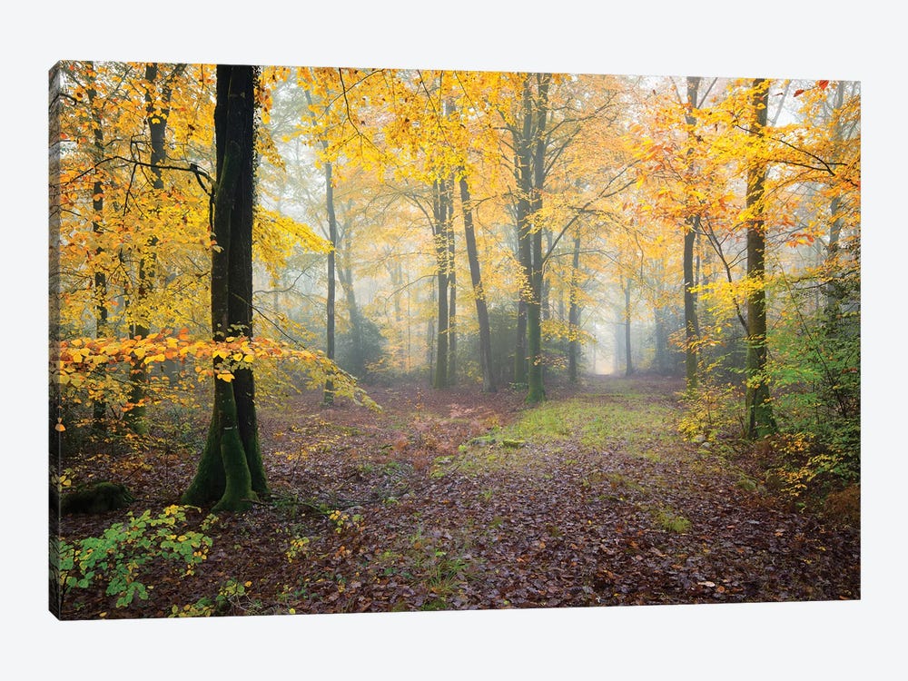 Broceliande Forest Fall by Philippe Manguin 1-piece Canvas Print