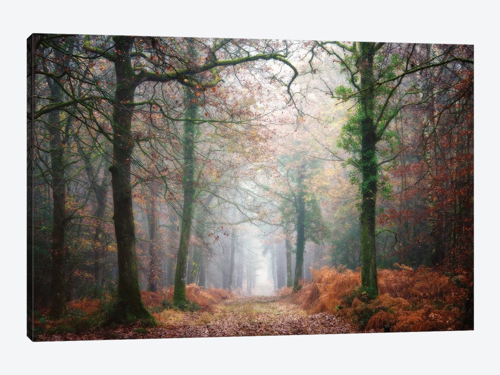 A Walk In The Forest At Fall by Philippe Manguin 1-piece Canvas Print