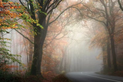 By The Road by Philippe Manguin canvas print