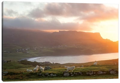 Sunset On Skye Island Grasslands, Scotland Canvas Art Print - Philippe Manguin